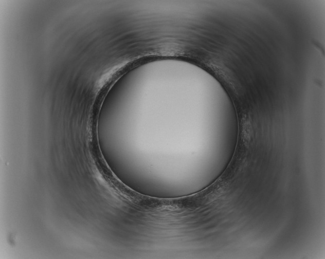 X0000099320536200805161403