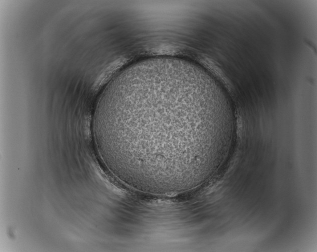 X0000099320537200805161403