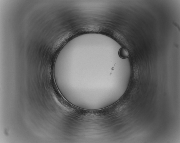 X0000099320538200805161403