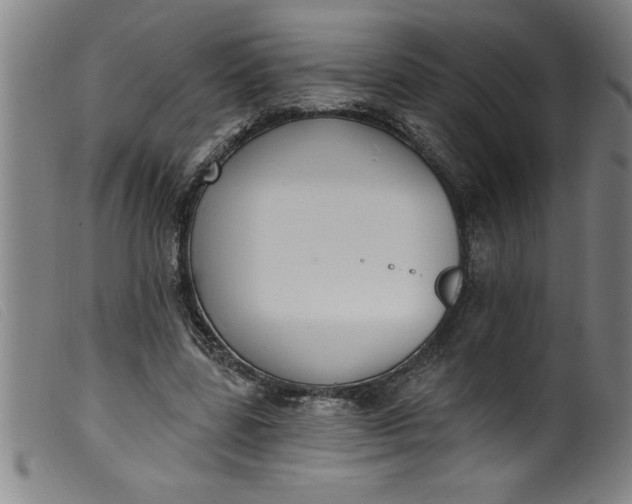 X0000099320539200805161403