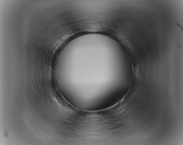 X0000099320540200805161403