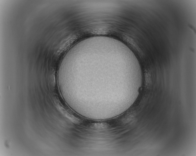 X0000099320541200805161403