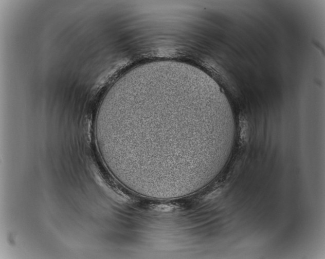 X0000099320542200805161403