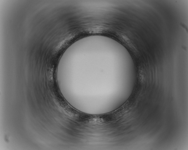 X0000099320543200805161403