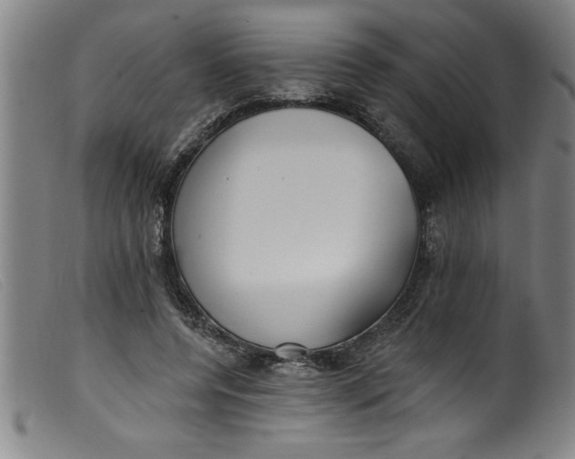 X0000099320544200805161403