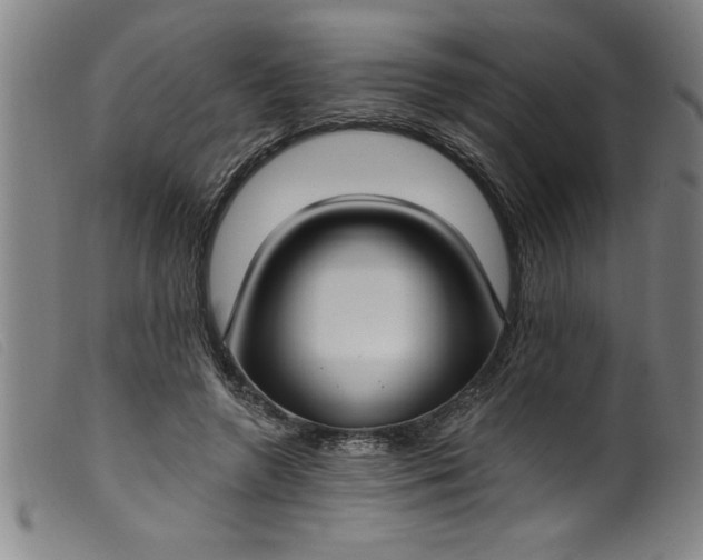 X0000099320546200805161403