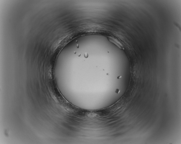 X0000099320547200805161403