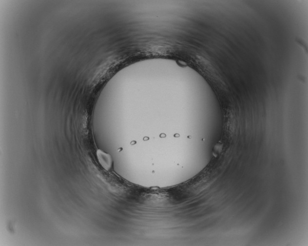 X0000099320548200805161403