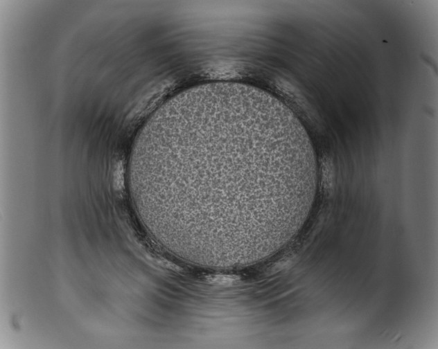 X0000099320549200805161403