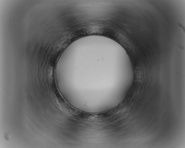 X0000099320550200805161403