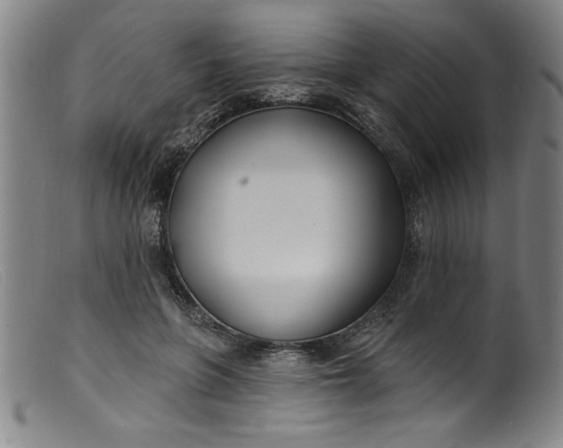 X0000099320551200805161403