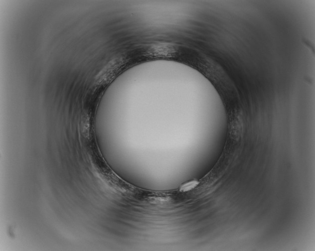 X0000099320552200805161403