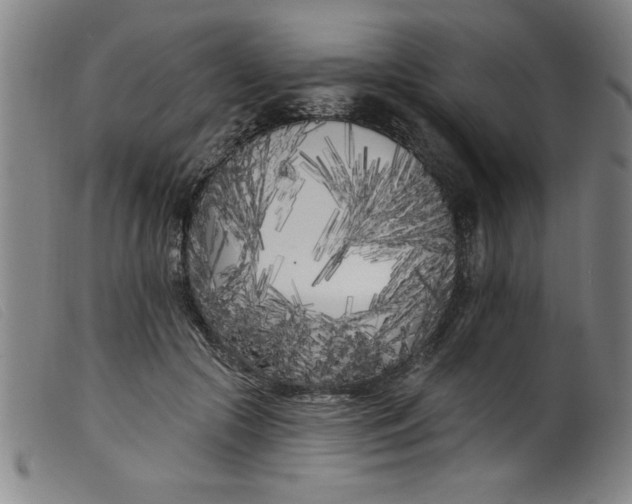 X0000099320553200805161403