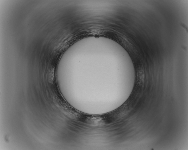 X0000099320554200805161403