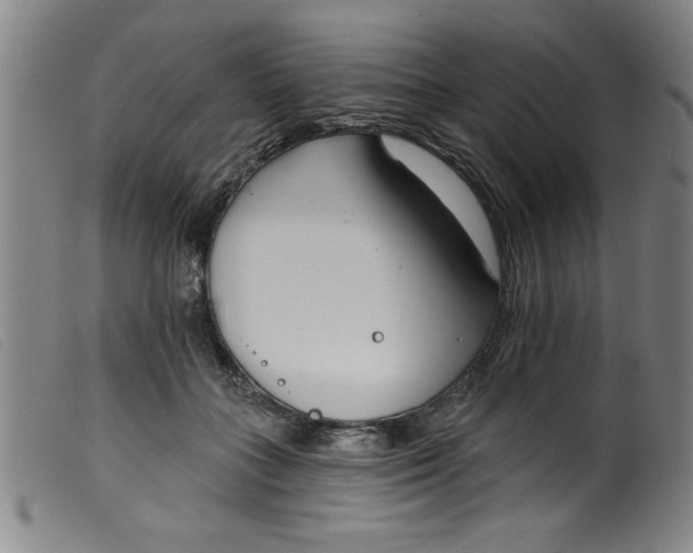 X0000099320555200805161403