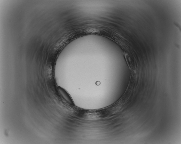 X0000099320556200805161403