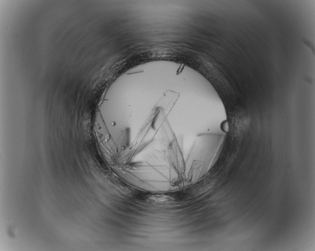 X0000099320557200805161403