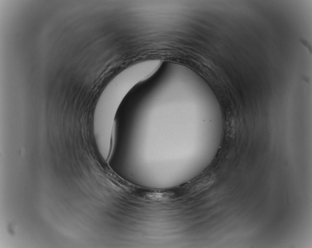 X0000099320558200805161403