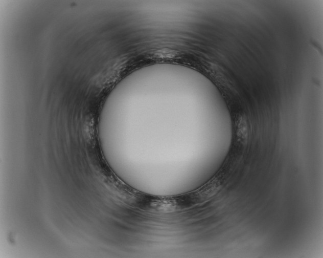 X0000099320559200805161403