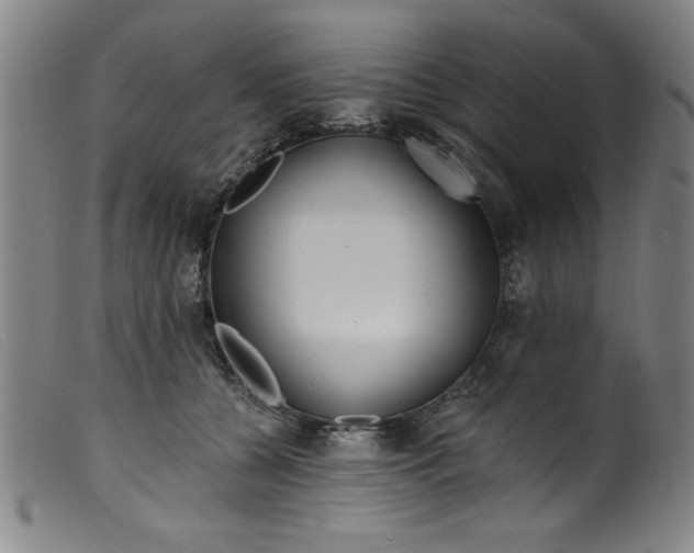 X0000099320560200805161403