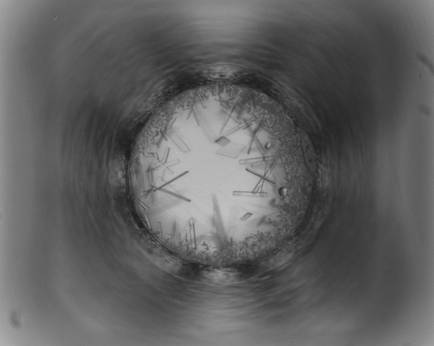 X0000099320561200805161403