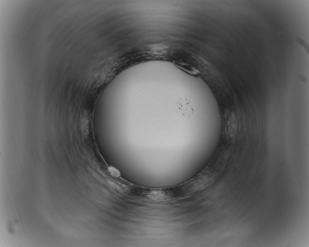 X0000099320562200805161403