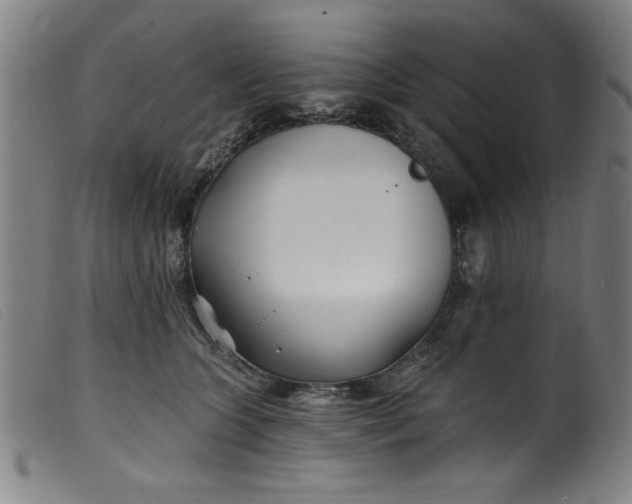 X0000099320563200805161403