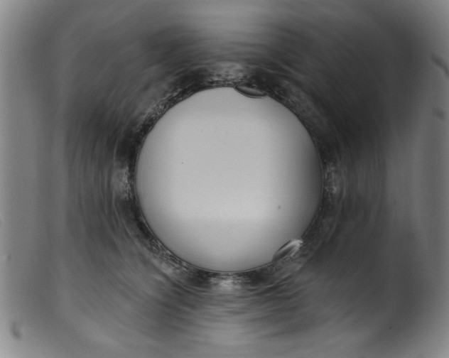 X0000099320564200805161403