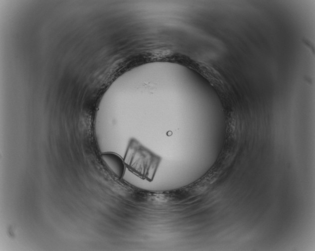 X0000099320565200805161403