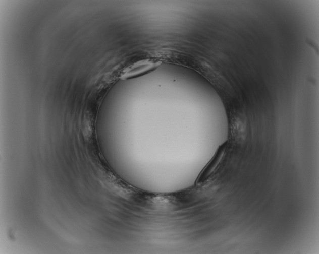 X0000099320566200805161403