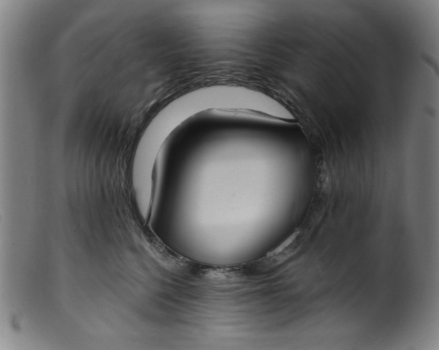 X0000099320568200805161403