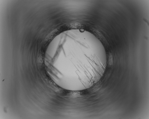 X0000099320569200805161403