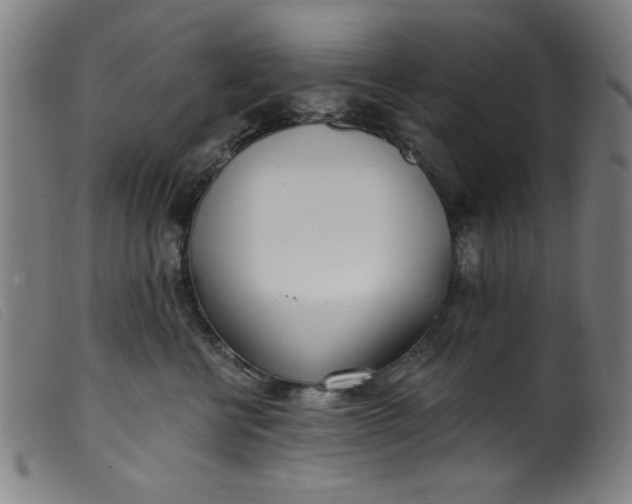 X0000099320570200805161403