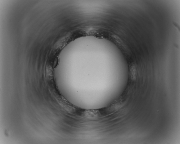 X0000099320571200805161403