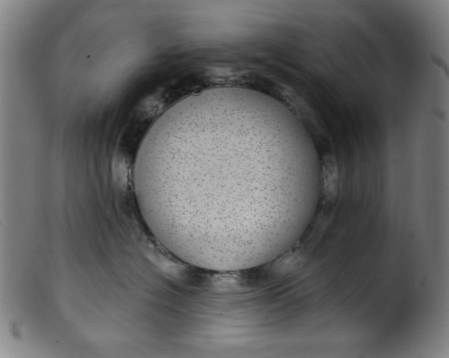 X0000099320574200805161403