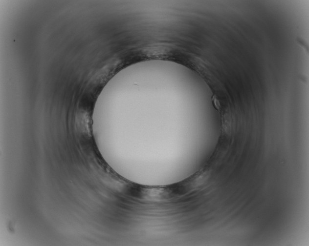 X0000099320575200805161403