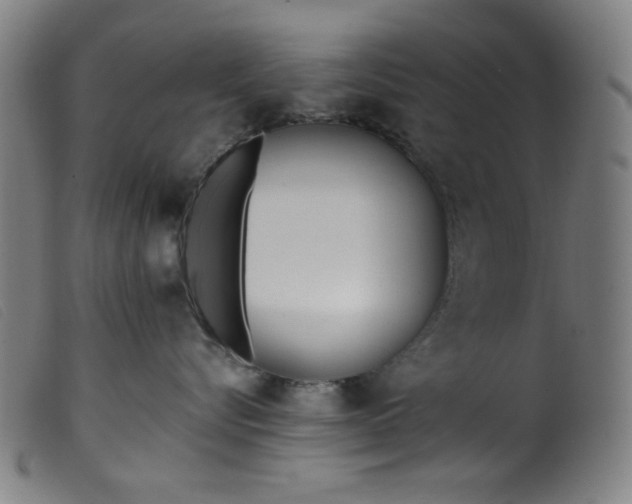 X0000099320576200805161403