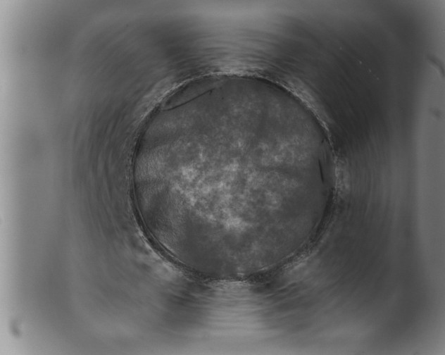 X0000099320577200805161403