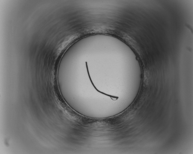 X0000099320578200805161403