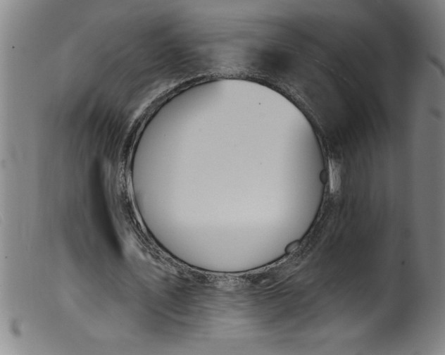 X0000099320579200805161403