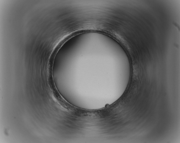 X0000099320580200805161403