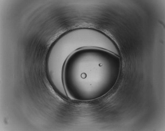 X0000099320581200805161403