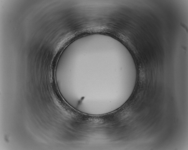 X0000099320582200805161402