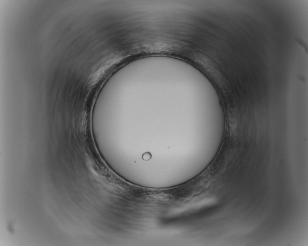 X0000099320583200805161402