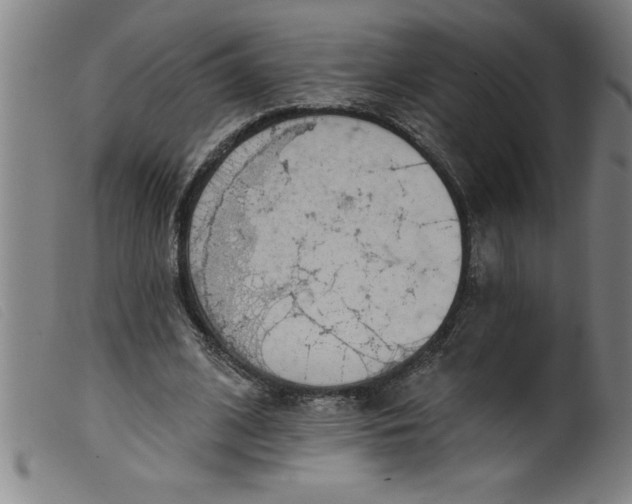 X0000099320584200805161402