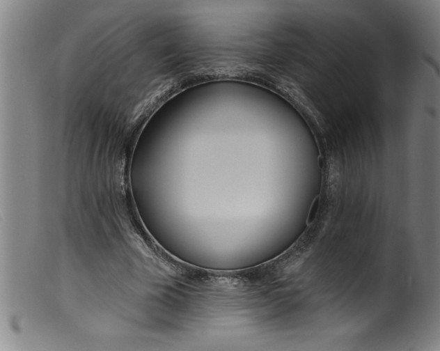 X0000099320585200805161402