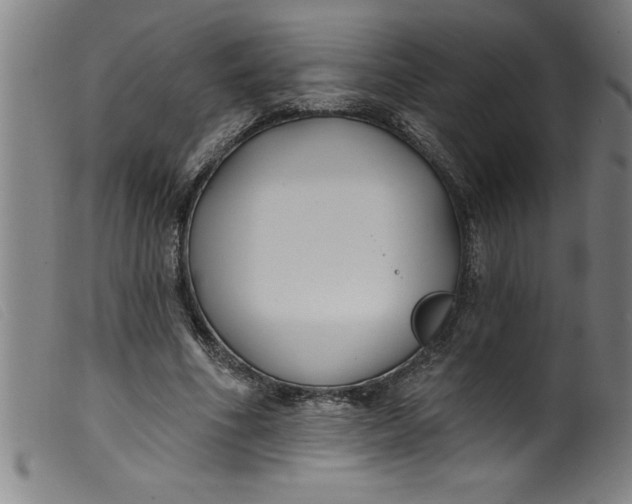 X0000099320586200805161402