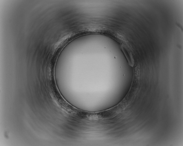 X0000099320587200805161402