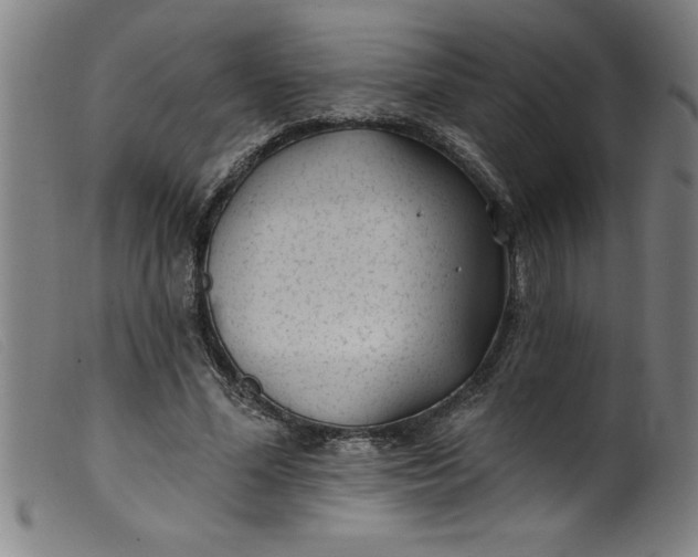 X0000099320588200805161402