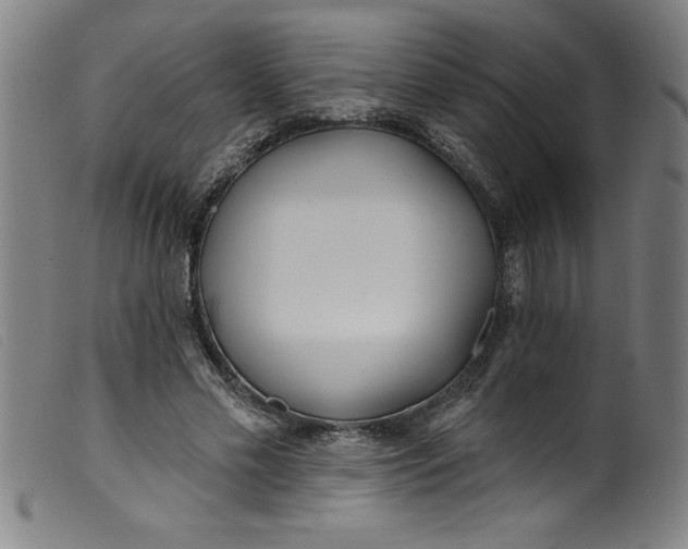 X0000099320589200805161402